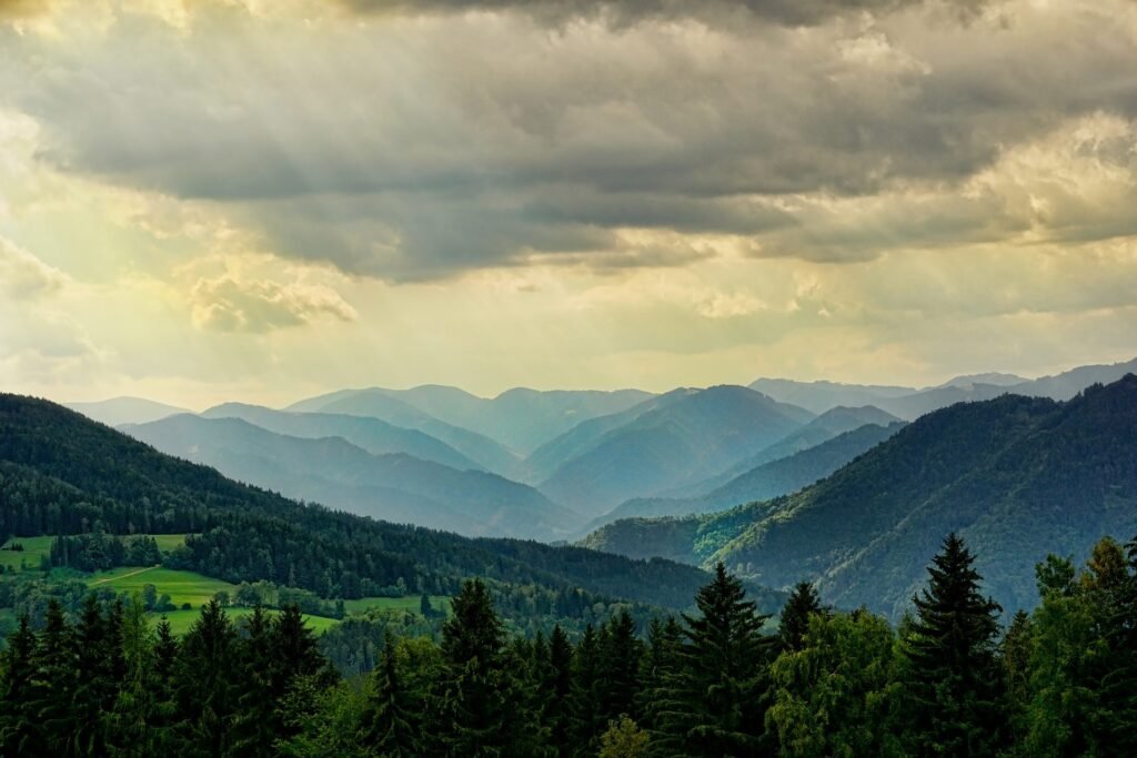 Bosque con cielo